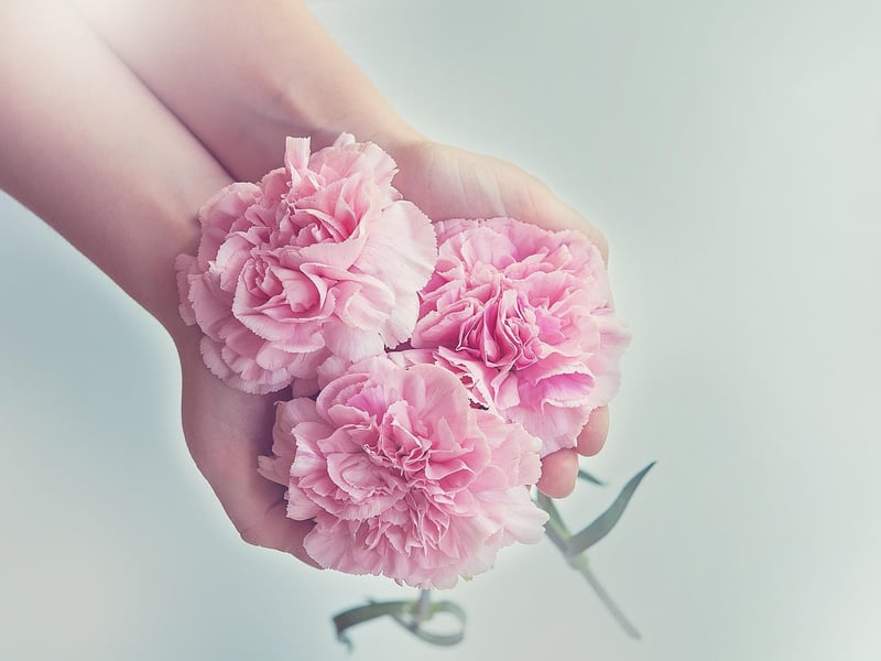 Botanical Gifts