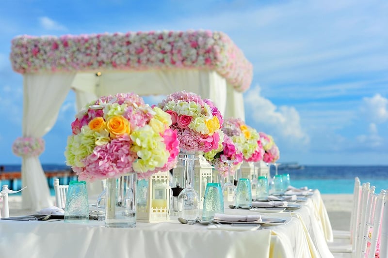 Woodland Reception